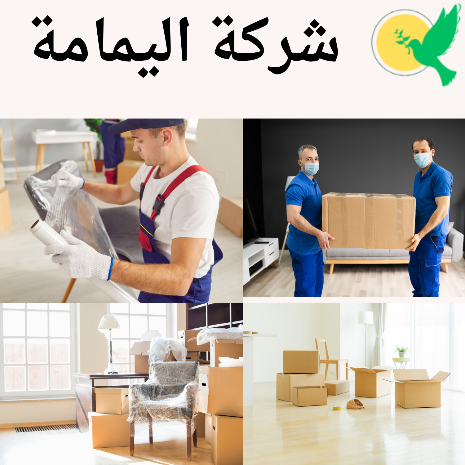 موسسه نقل عفش بجدة